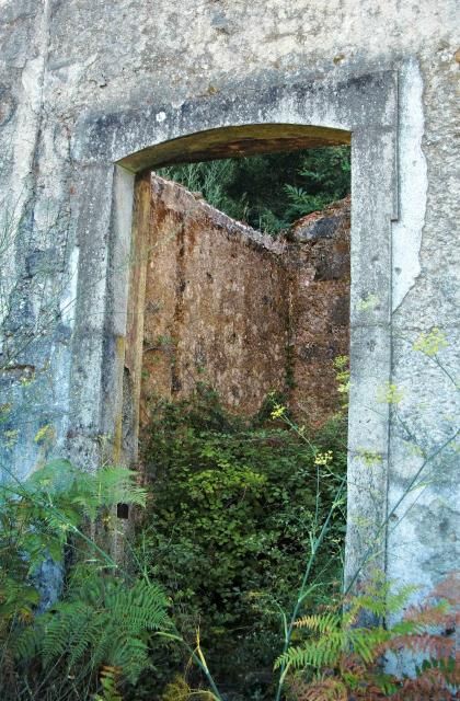 photo CIMG2393_zpsf666b57a.jpg