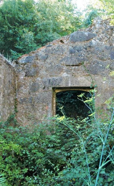 photo CIMG2394_zpsdecdb801.jpg