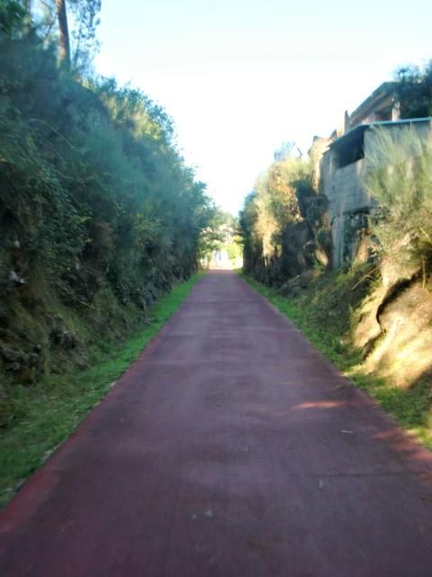 photo CIMG2396_zps4f590275.jpg