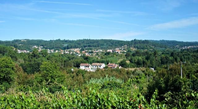 photo CIMG2413_zpsf923e630.jpg