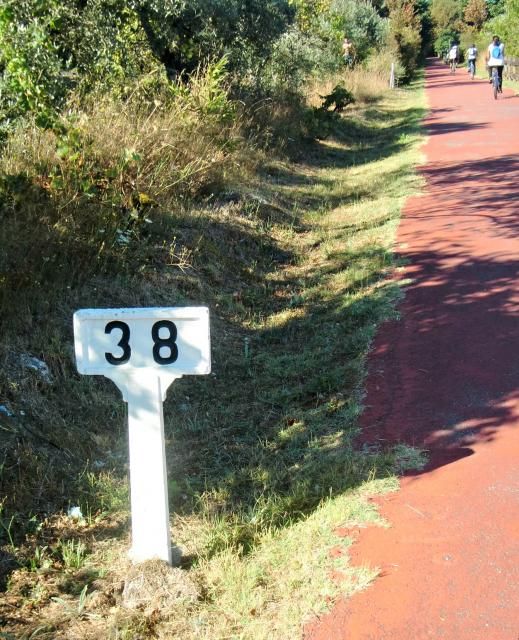 photo CIMG2414_zps309f77fd.jpg