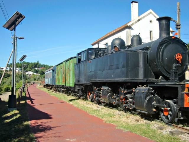 photo CIMG2429_zps940e3c98.jpg