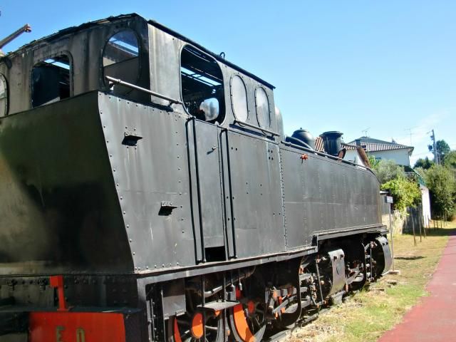 photo CIMG2449_zps4468ab30.jpg