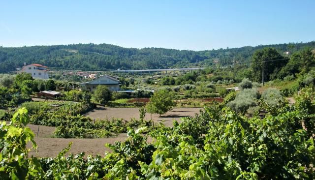 photo CIMG2452_zps92d71f41.jpg