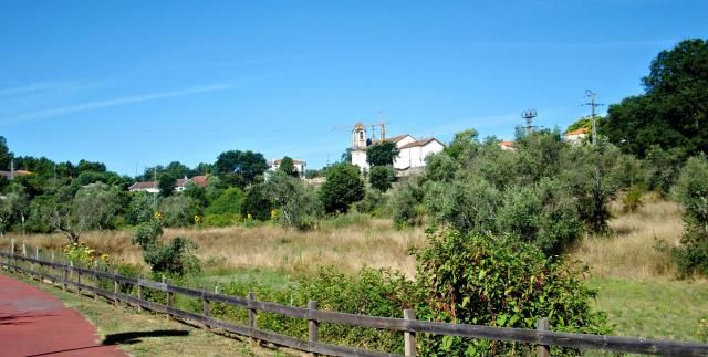 photo CIMG2458_zpsfe3991ee.jpg