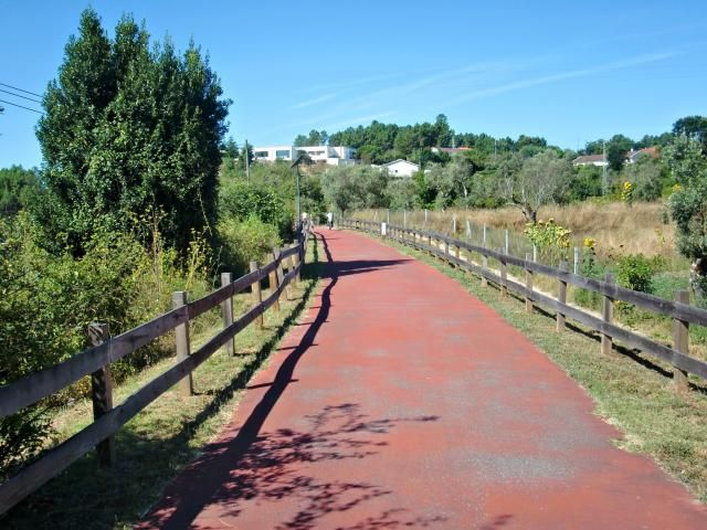 photo CIMG2459_zps3ed84c40.jpg