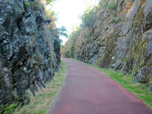 photo CIMG2462_zps01a4f8d9.jpg