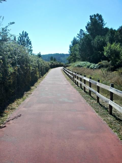 photo CIMG2467_zps40da0ec8.jpg