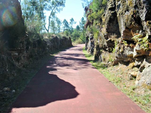 photo CIMG2470_zps64138563.jpg