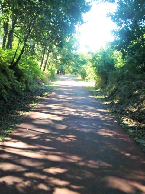 photo CIMG2473_zpsb3d50cc1.jpg