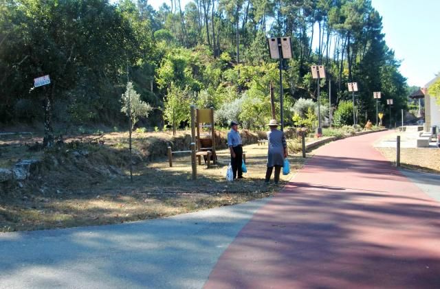 photo CIMG2476_zpse4aa6515.jpg