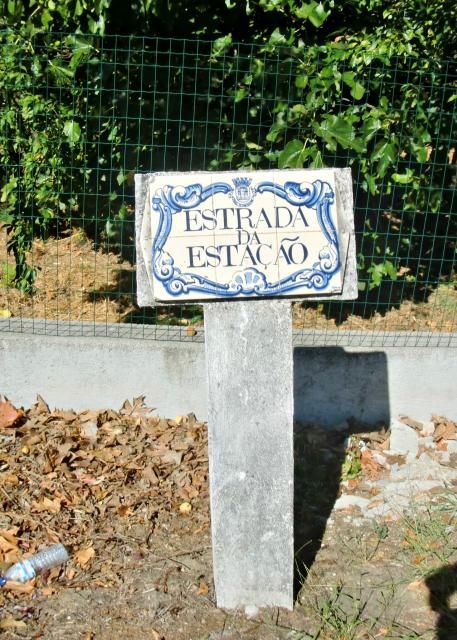 photo CIMG2481_zps843a795c.jpg