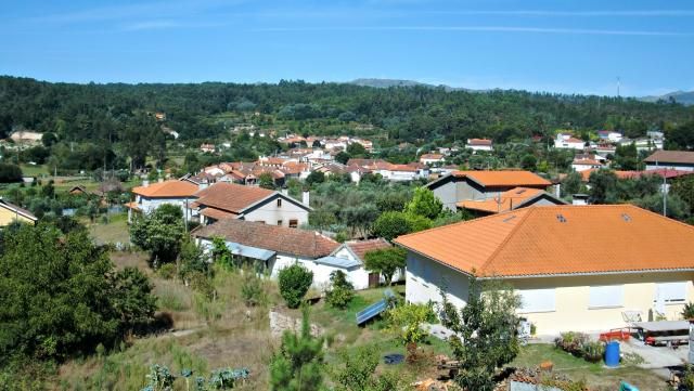 photo CIMG2490_zpsbd0ad21d.jpg