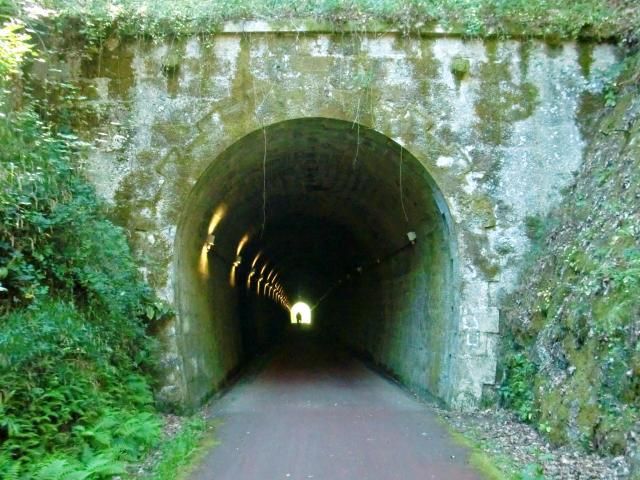 photo CIMG2495_zps7fe9302c.jpg