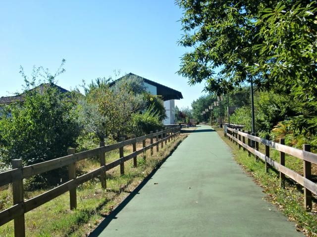 photo CIMG2504_zpsa1ed603a.jpg