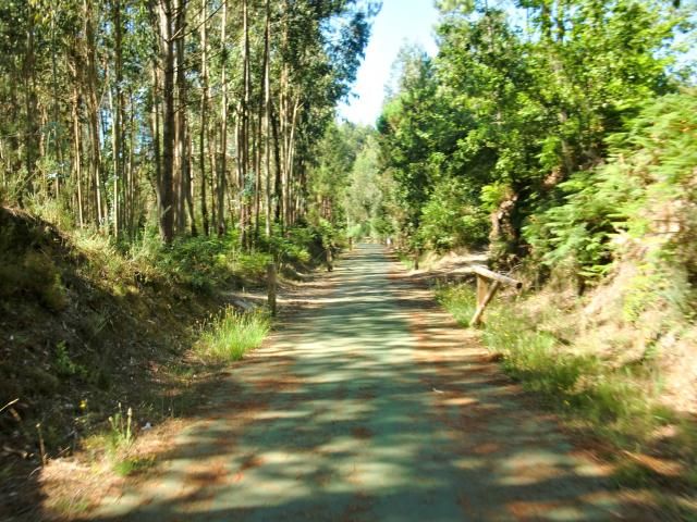 photo CIMG2509_zps802ab42c.jpg