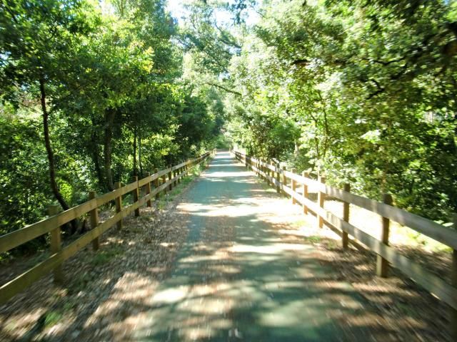 photo CIMG2511_zpsfe3bc621.jpg