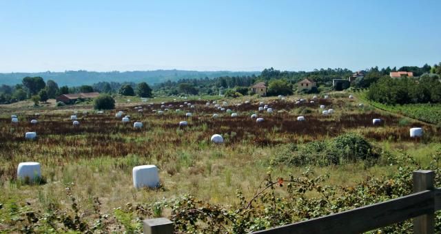 photo CIMG2512_zps70e45f1c.jpg