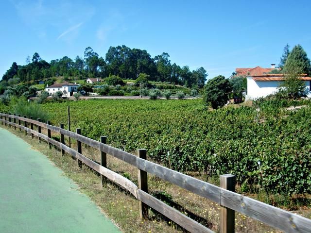 photo CIMG2514_zpsdb28c7c8.jpg