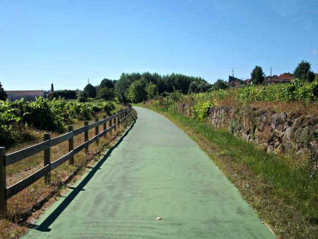 photo CIMG2524_zps8b7cd78e.jpg