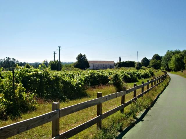 photo CIMG2525_zpsb3592e5a.jpg