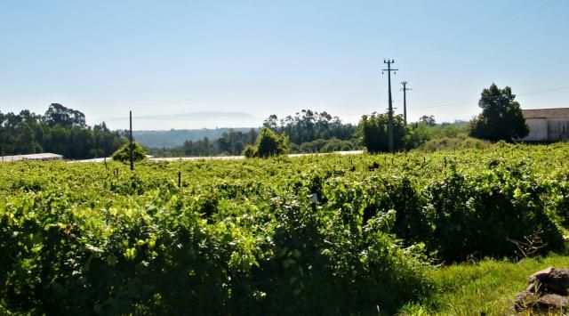 photo CIMG2526_zpsa9eaf89c.jpg