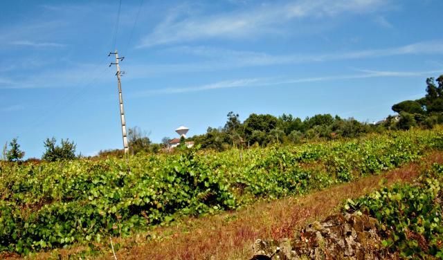 photo CIMG2527_zpseba0b98f.jpg