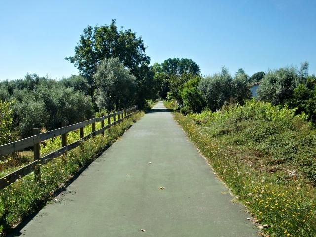 photo CIMG2531_zps84b399b5.jpg