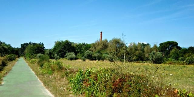 photo CIMG2535_zpsca0c8389.jpg