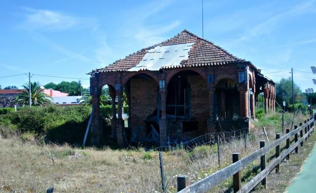 photo CIMG2536_zpsd4734de2.jpg