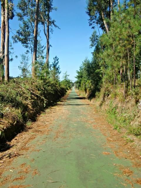 photo CIMG2538_zps55db6381.jpg