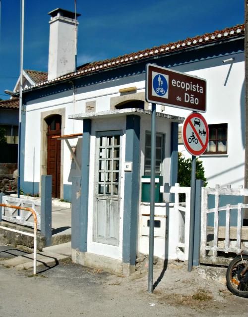 photo CIMG2541_zps06854c05.jpg