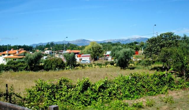 photo CIMG2548_zps25e63b98.jpg