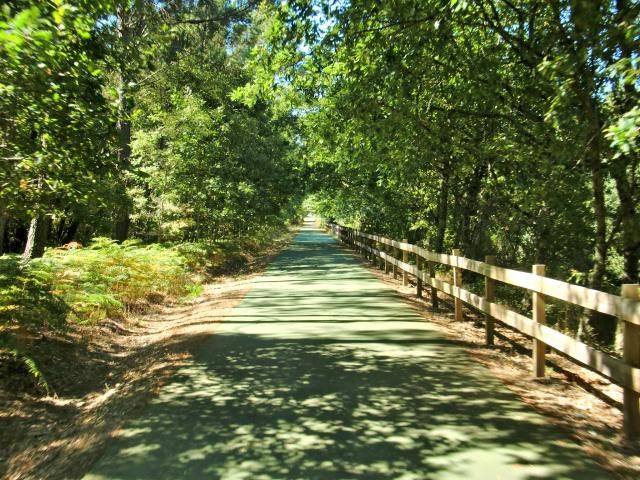 photo CIMG2552_zps967a607e.jpg