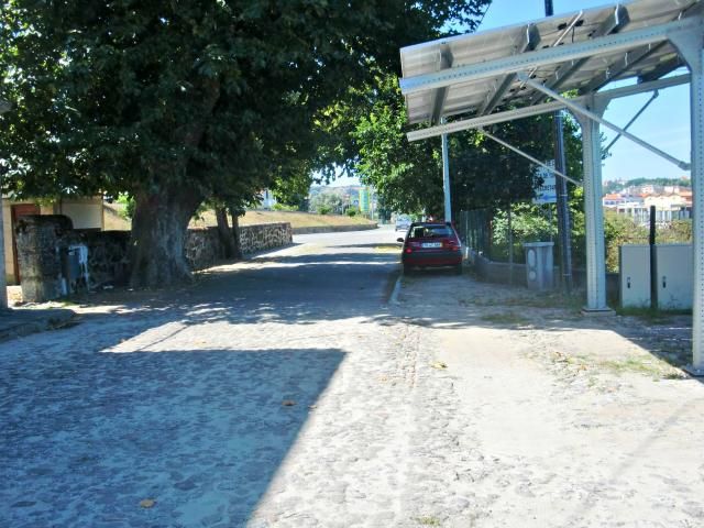 photo CIMG2559_zps1b14b7cd.jpg