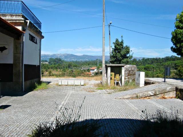 photo CIMG2563_zps636b89ac.jpg