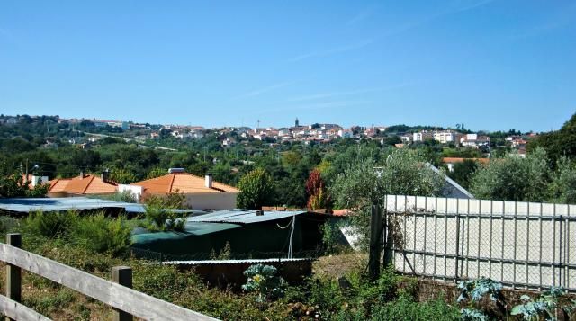 photo CIMG2577_zps8fded5bc.jpg