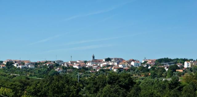 photo CIMG2579_zps037947f6.jpg