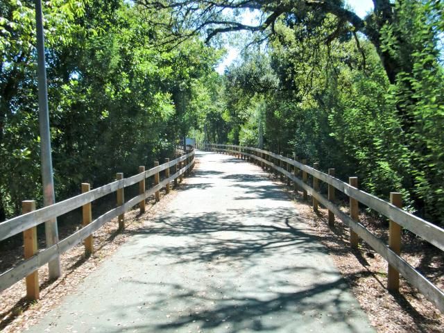 photo CIMG2583_zpse27f90d3.jpg