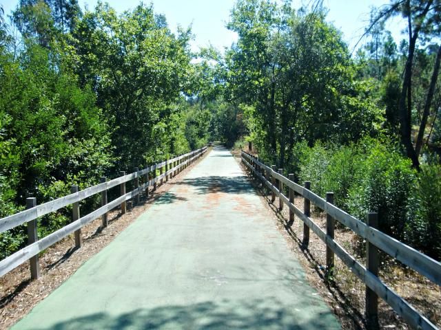 photo CIMG2587_zpsf70777ab.jpg