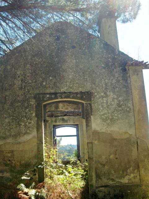 photo CIMG2593_zps4dd7dc3e.jpg