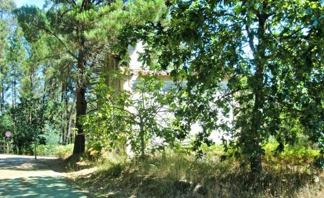 photo CIMG2594_zpsc0bc0023.jpg