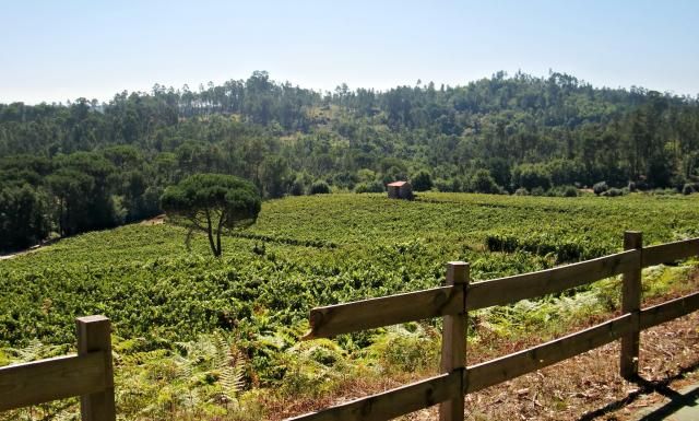 photo CIMG2595_zpsba719f9b.jpg