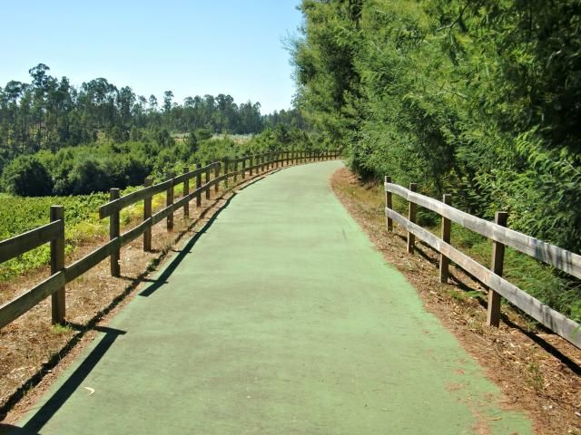 photo CIMG2596_zps862c1c6a.jpg