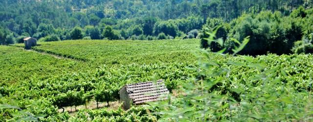 photo CIMG2598_zps22256d4a.jpg