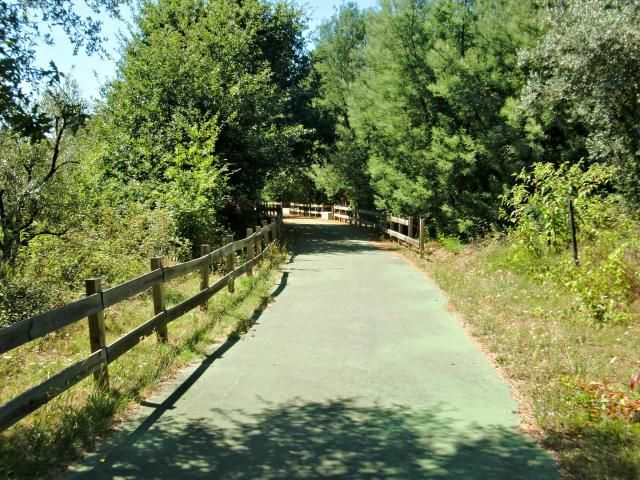 photo CIMG2600_zpsf40d21c1.jpg