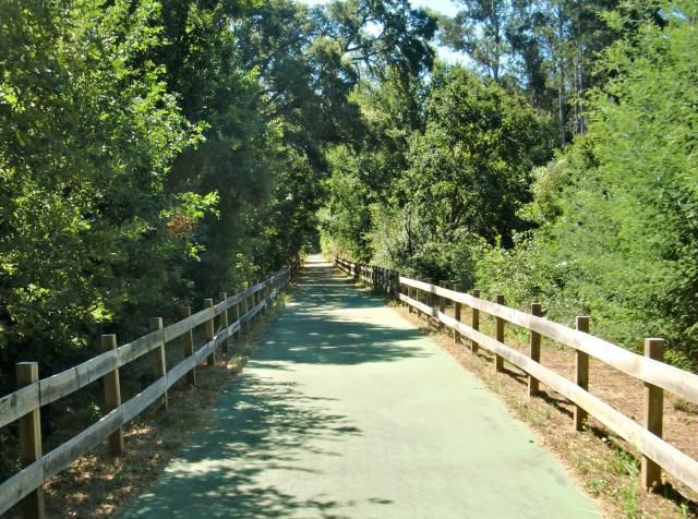 photo CIMG2601_zps90161620.jpg