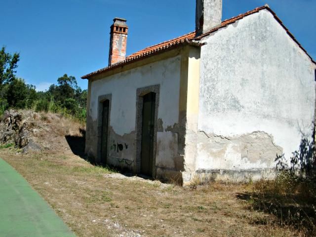 photo CIMG2612_zps95284aaa.jpg