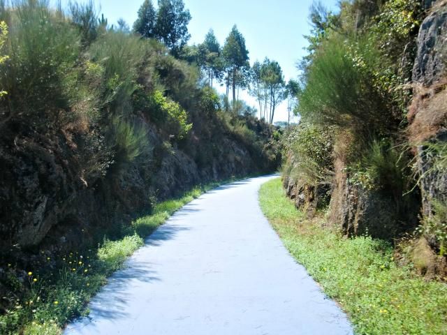 photo CIMG2616_zpsbb2f2224.jpg