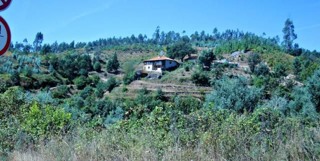 photo CIMG2620_zps73897d12.jpg